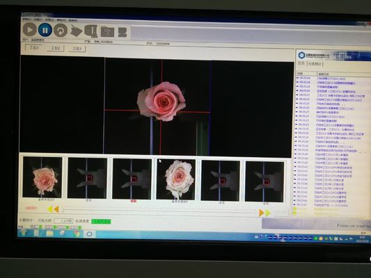 تجهیزات بازرسی چشم تشخیص گل کاملا اتوماتیک